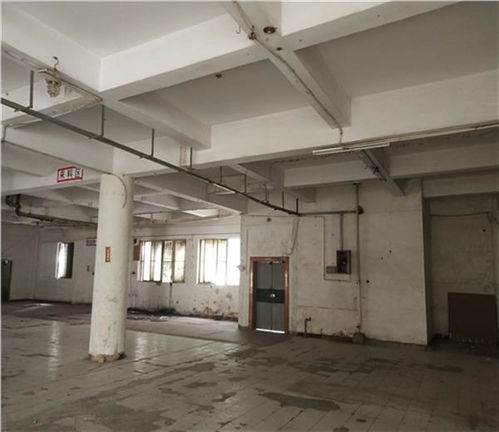 日照市廠房驗廠安全檢測鑒定收費標準解析及建筑材料安全新規(guī)引關(guān)注